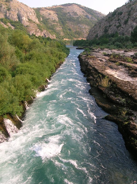 img00351.jpg
