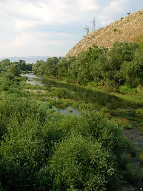 img00352.jpg