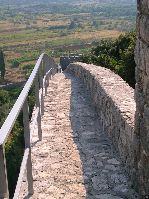 img00383.jpg