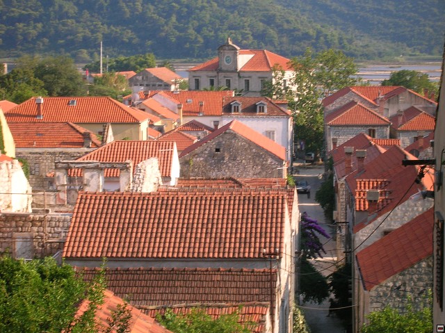 img00390.jpg