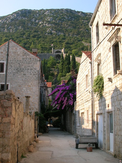 img00391.jpg