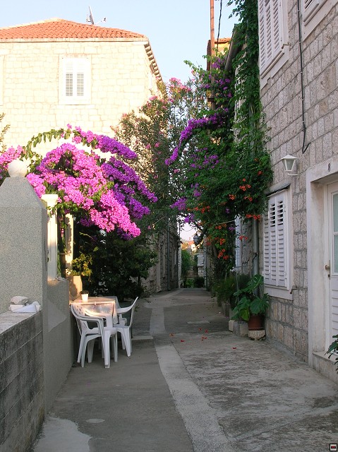 img00393.jpg