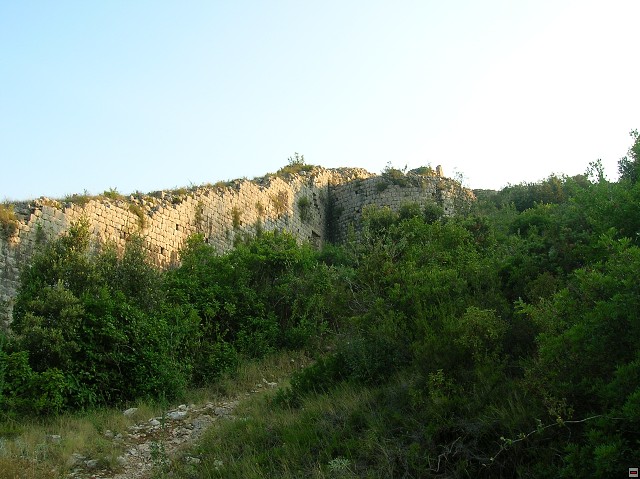 img00394.jpg