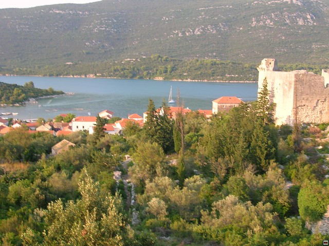 img00398.jpg