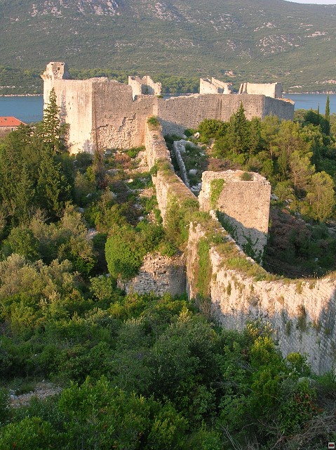 img00399.jpg