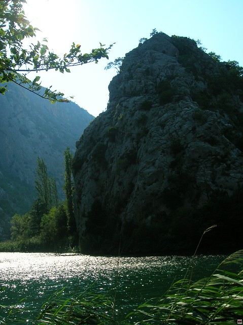 img00420.jpg