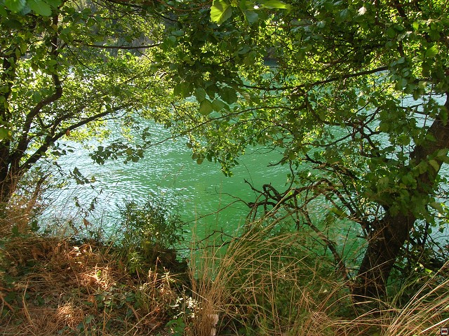 img00421.jpg