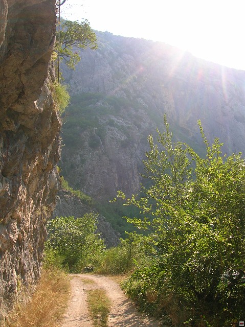 img00422.jpg