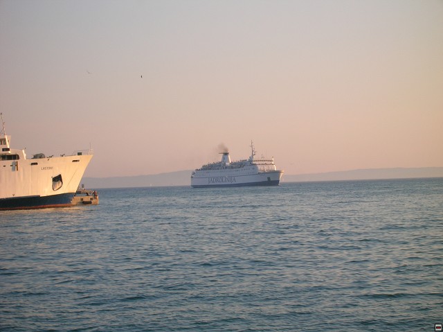 img00431.jpg