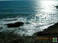thn00113.jpg
