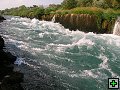 thn00349.jpg