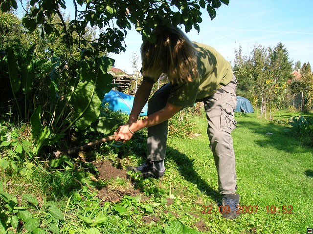 img00018.jpg