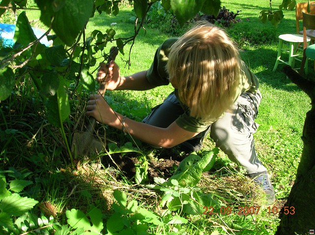 img00019.jpg