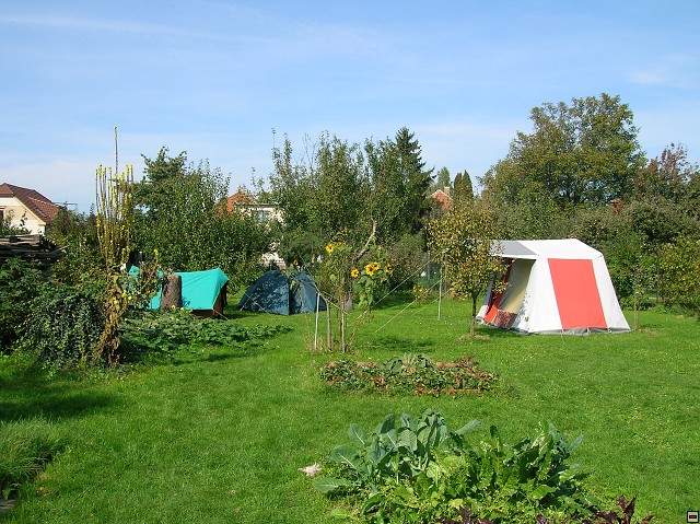 img00029.jpg
