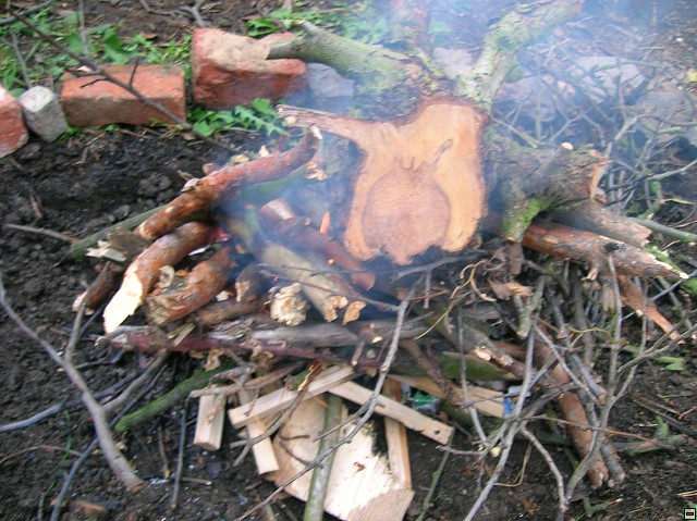 img00033.jpg
