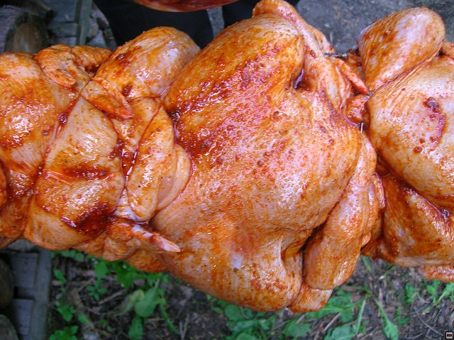 img00035.jpg