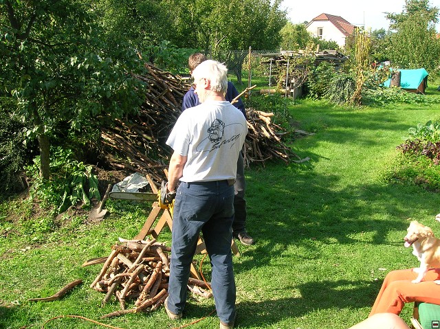 img00037.jpg
