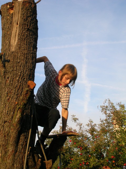 img00053.jpg