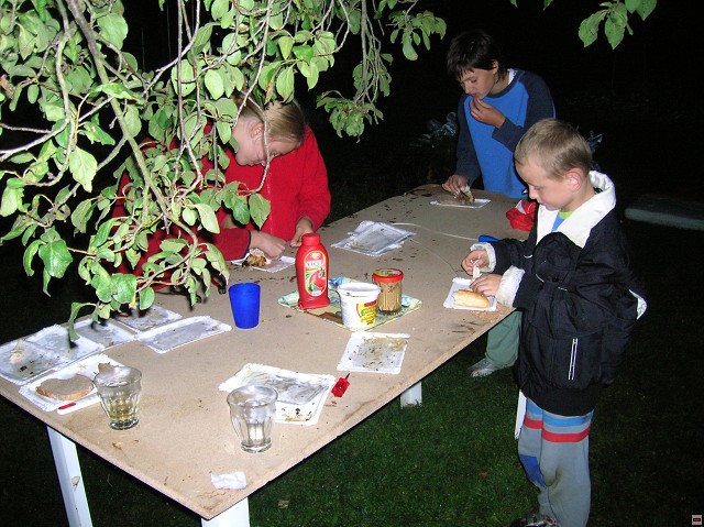 img00081.jpg