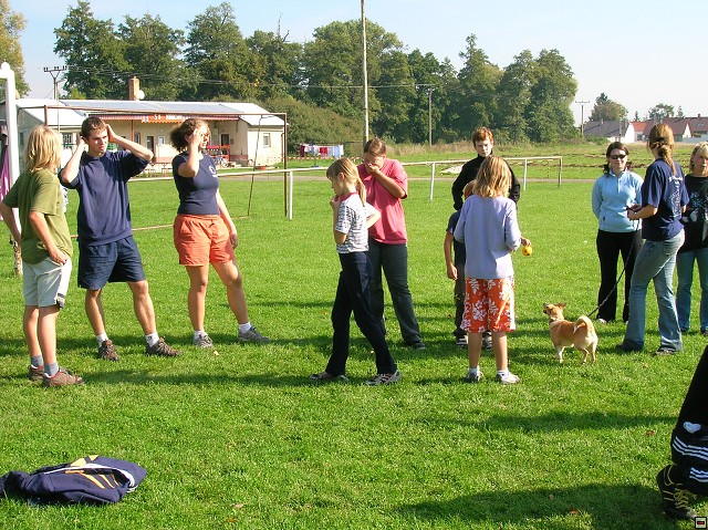 img00118.jpg