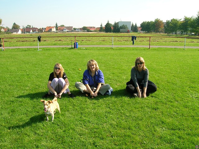 img00170.jpg