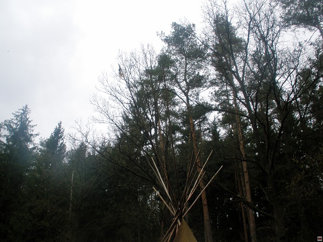 img00004.jpg