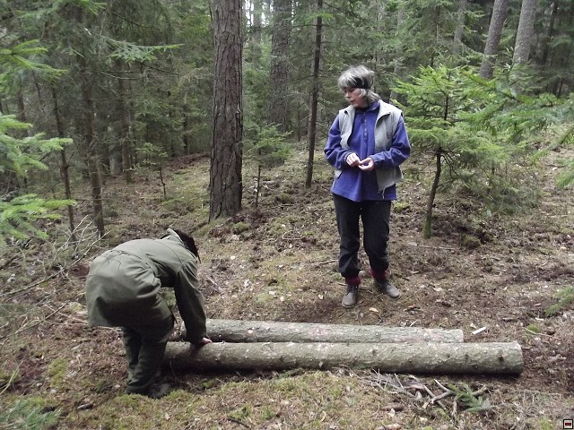 img00029.jpg
