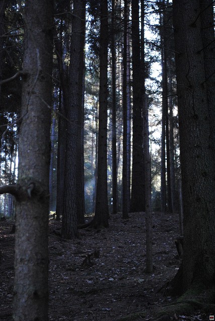 img00053.jpg
