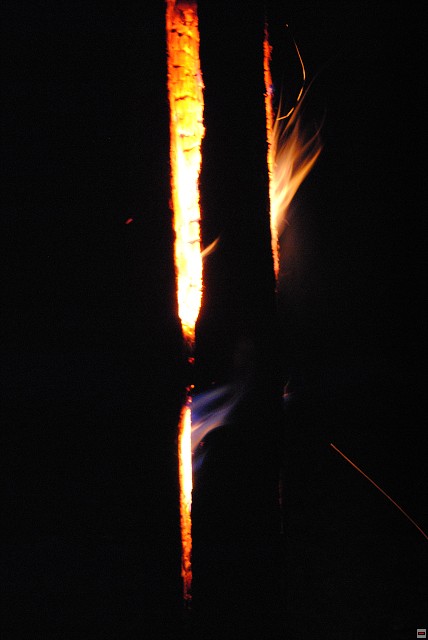 img00116.jpg