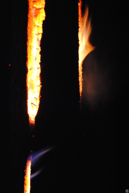 img00118.jpg