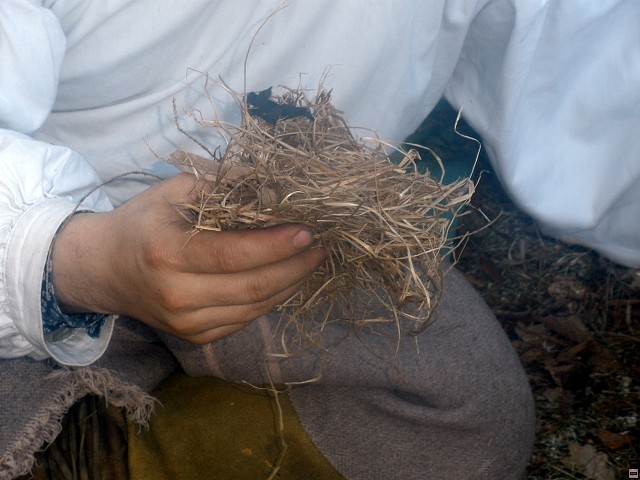 img00151.jpg