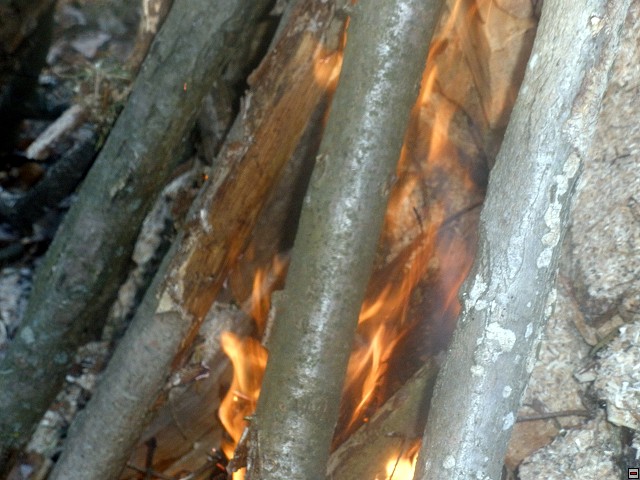 img00152.jpg