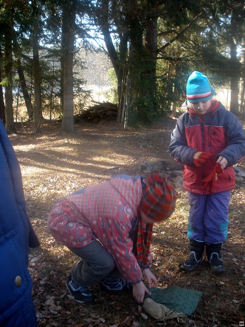 img00155.jpg