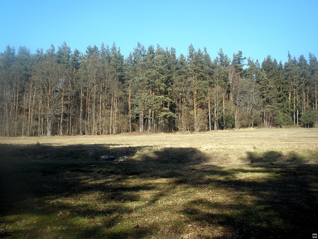 img00158.jpg