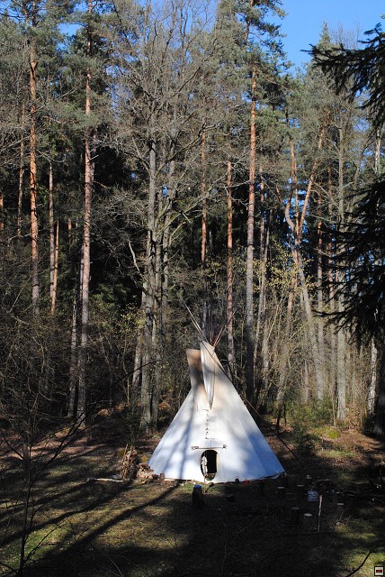 img00161.jpg