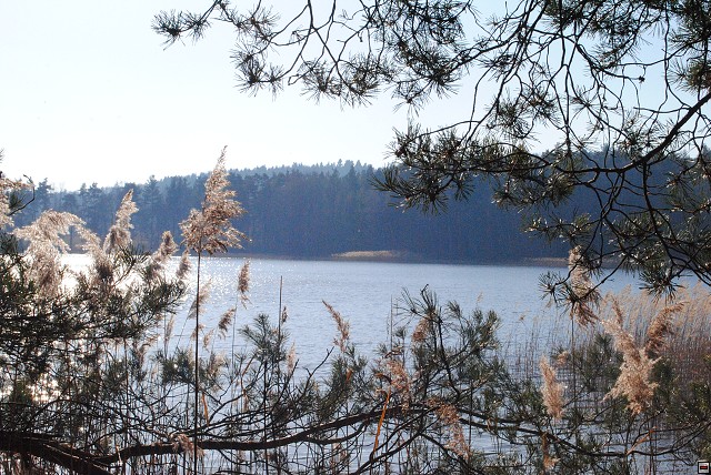 img00185.jpg