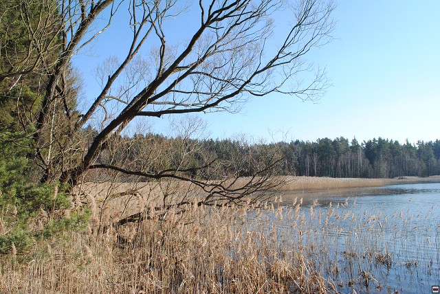 img00190.jpg