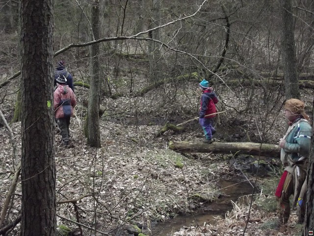 img00222.jpg