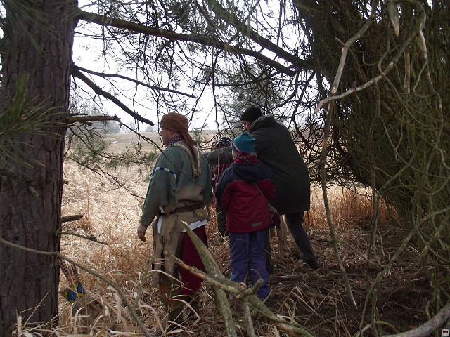 img00226.jpg