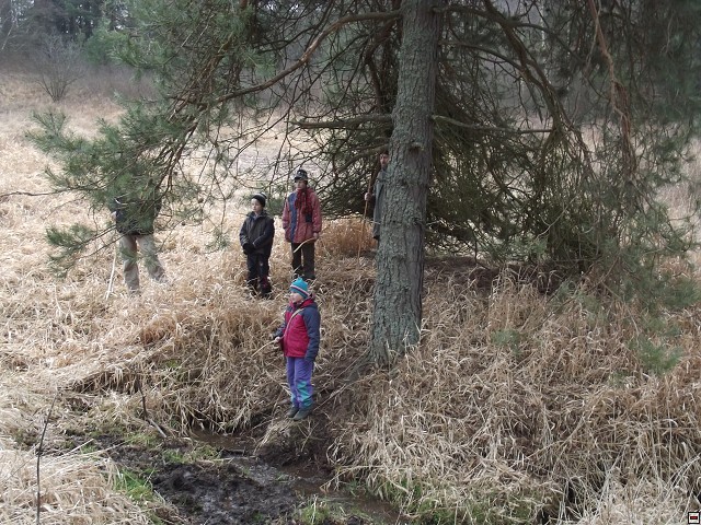 img00228.jpg