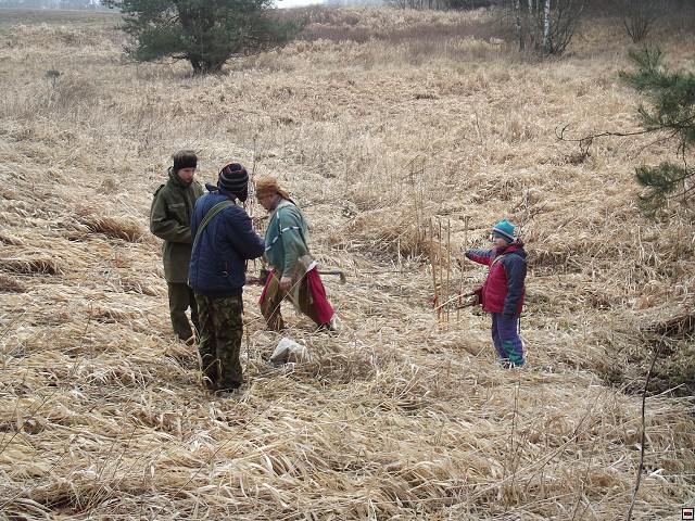 img00229.jpg