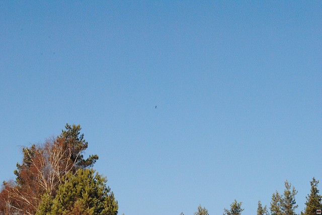 img00245.jpg