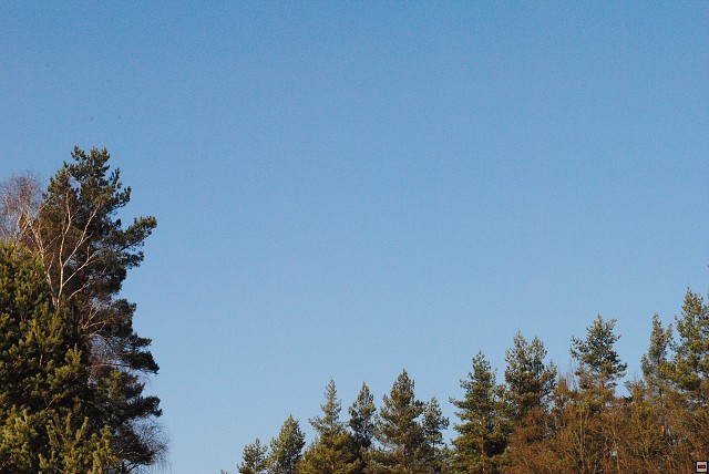 img00246.jpg
