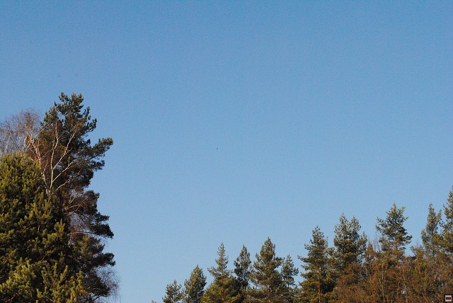 img00247.jpg