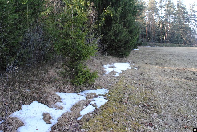 img00299.jpg