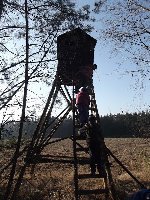 img00302.jpg