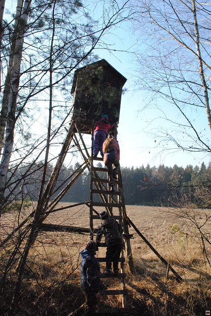 img00304.jpg