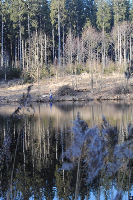 img00311.jpg