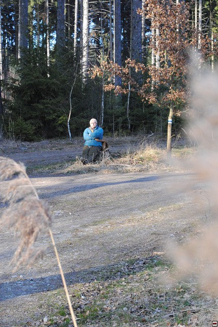 img00315.jpg