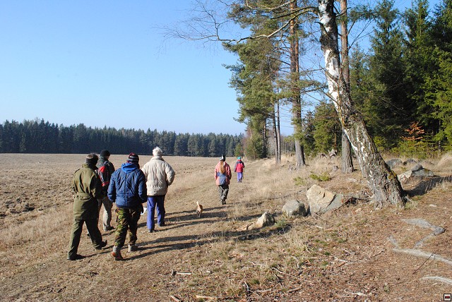 img00317.jpg